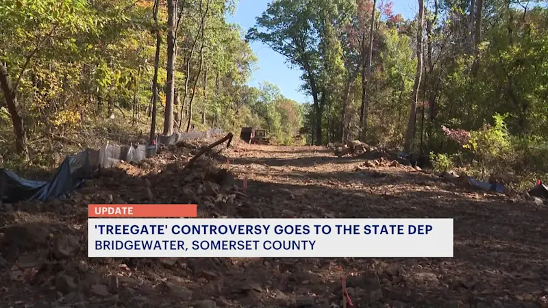 Story image: Bridgewater officials demand DEP documents regarding the cutting down of trees