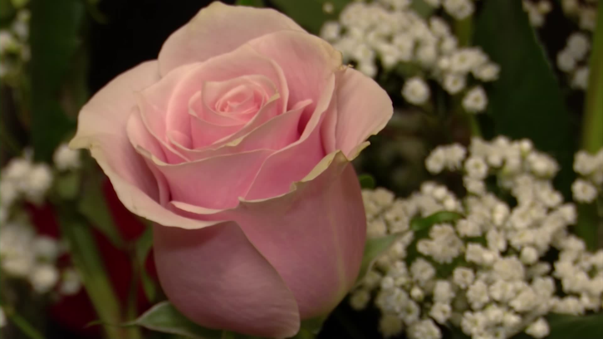 ‘This is our Super Bowl.’ Center Moriches florist prepares ahead of