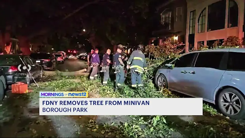 Story image: Citizen video shows FDNY removing fallen tree from minivan in Borough Park