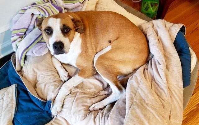 Article 107717 Thumbnail