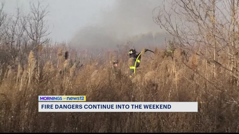 Story image: Fire danger continues into the weekend in Brooklyn; FDNY report over 230 brushfires in the last 2 weeks