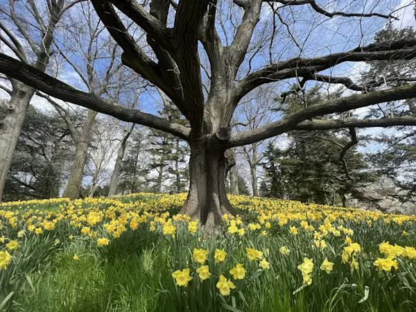 Story image: Spring is around the corner! Here are a few dates for Long Islanders to look forward to