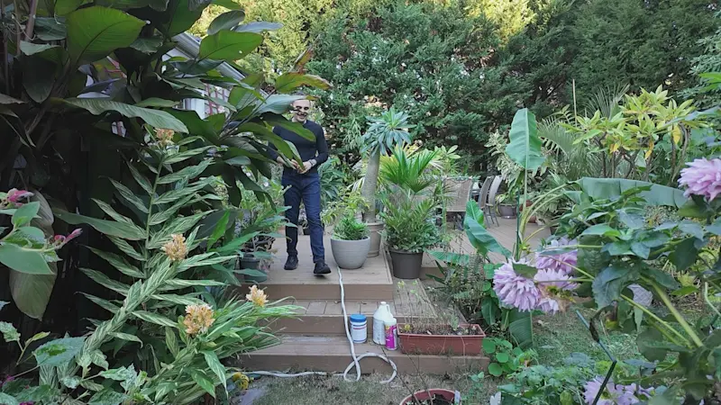 Story image: Autumn gardening: When to prune, what to plant & why to leave the leaves