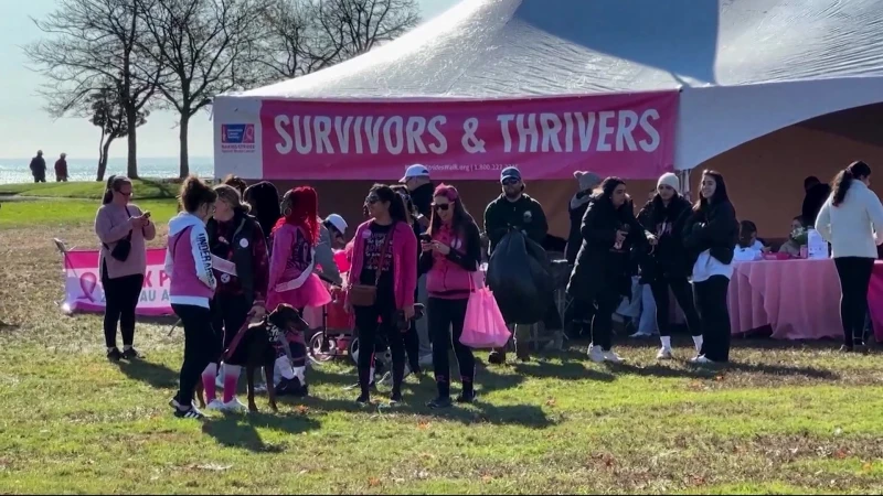 Story image: Making Strides events elevate breast cancer awareness, fund advancements in treatment