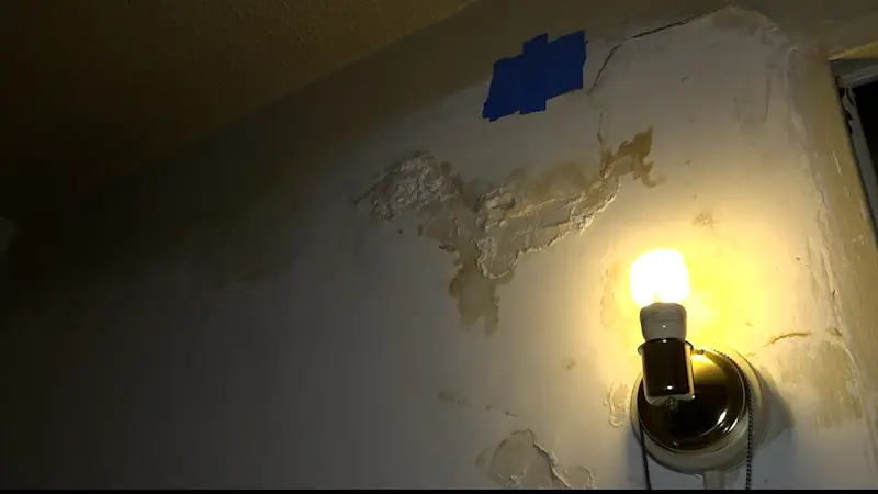 Story image: NYCHA tenant frustrated over ongoing leak in her Red Hook apartment