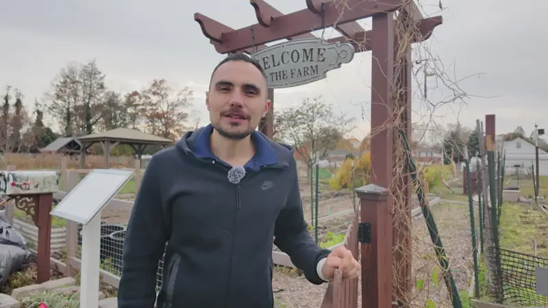 Story image: How to plant garlic: It's easy, tasty & loves the cold! 