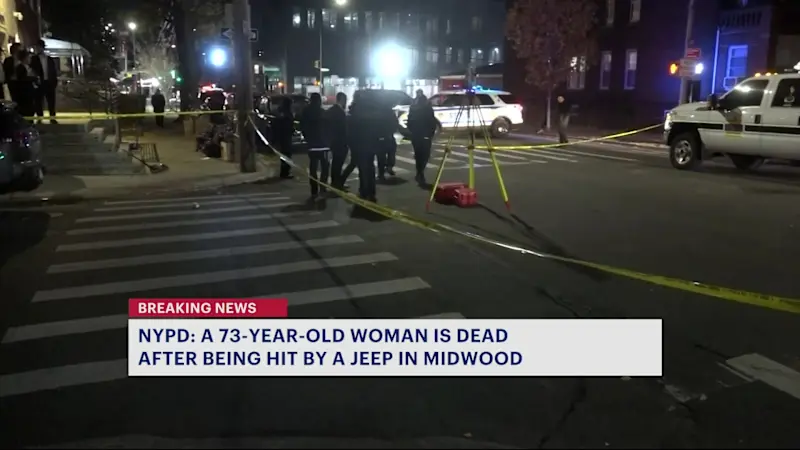 Story image: NYPD: 73-year-old woman fatally struck by car in Midwood