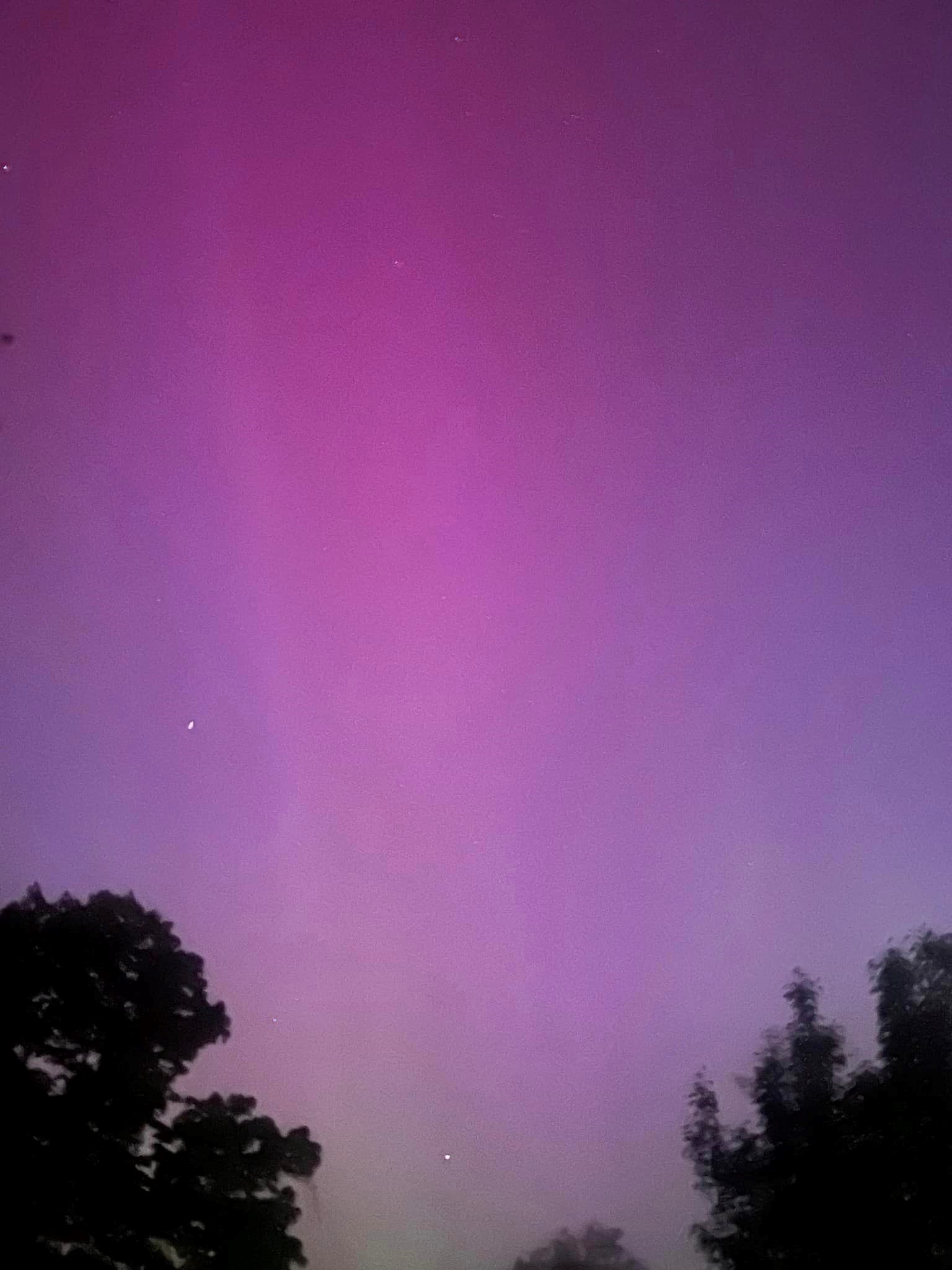 Erika Martinez – Vitale Yorktown1.jpg