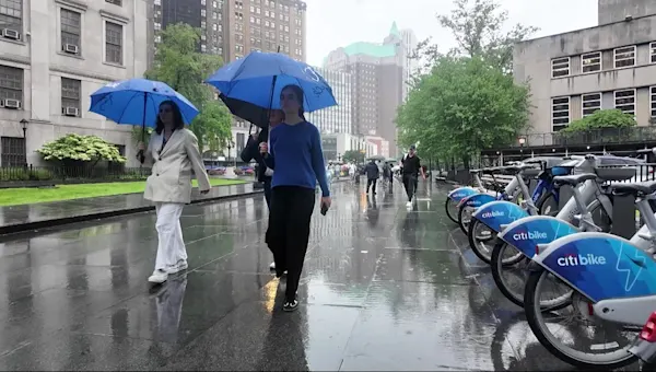 Proposed park renovations in Downtown Brooklyn face pushback from courts
