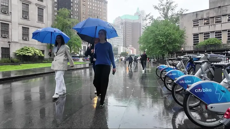 Story image: Proposed park renovations in Downtown Brooklyn face pushback from courts