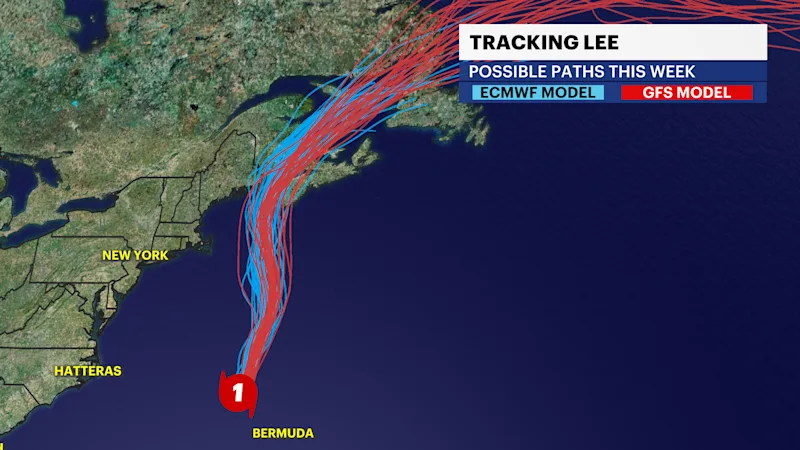 TF_Spaghetti_Lee2023.png