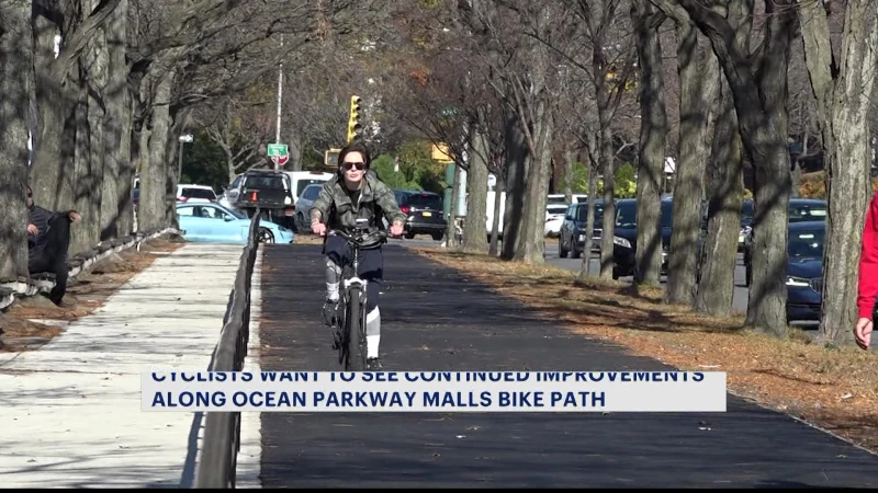 Story image: Cyclists want to 'keep the gears turning' when it comes to upgrading the country's oldest bike path in Brooklyn 