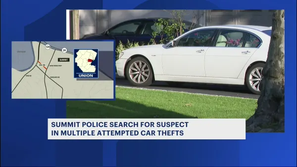 Attempted car thefts becoming concerning trend in Summit