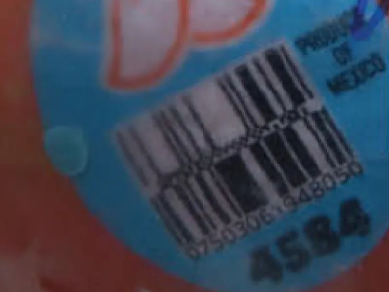 Martina_Mangos_FDA_2.png