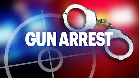 gun arrest