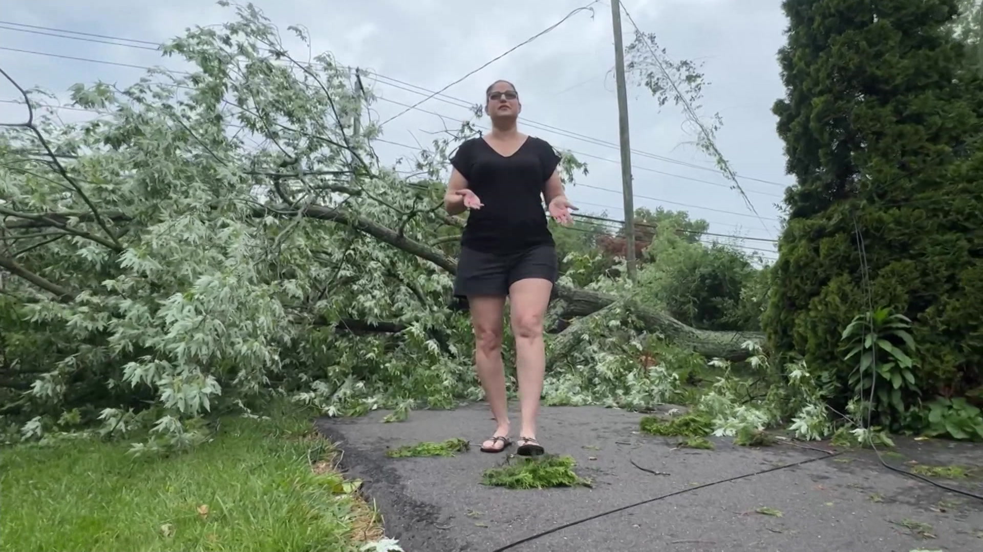 STORMDAMAGE_2026-07-05-18-19-06