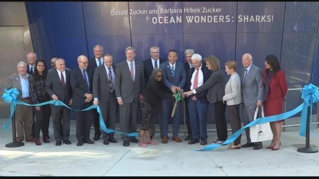 Article 135008 Thumbnail