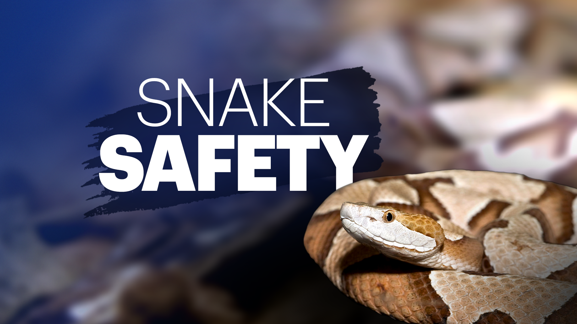 News 12 | New Jersey | Somerset County Officials Issue Warning About ...