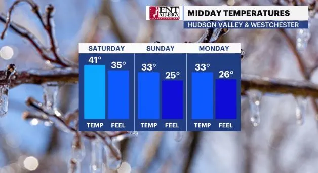 WCHV Thu 12282023 temp feels bar.JPG
