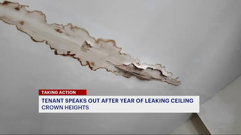Story image: Crown Heights tenant says leaking ceiling has gone unfixed for over a year