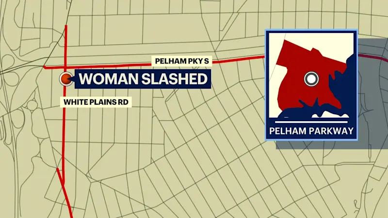 Story image: Woman slashed by razor and robbed at Pelham Parkway station