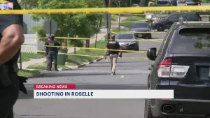 Roselle schools temporarily put on lockdown following reports of gunfire in the area