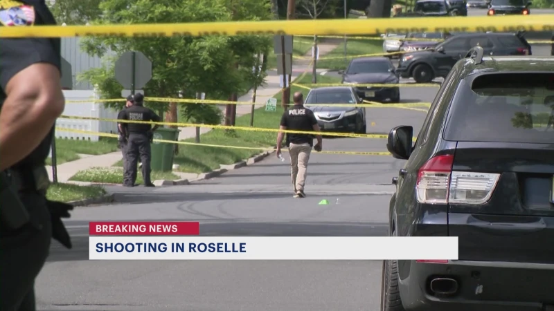 Story image: Reports of gunfire in Roselle temporarily put schools on lockdown