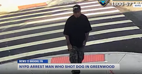 dog arrest thumb