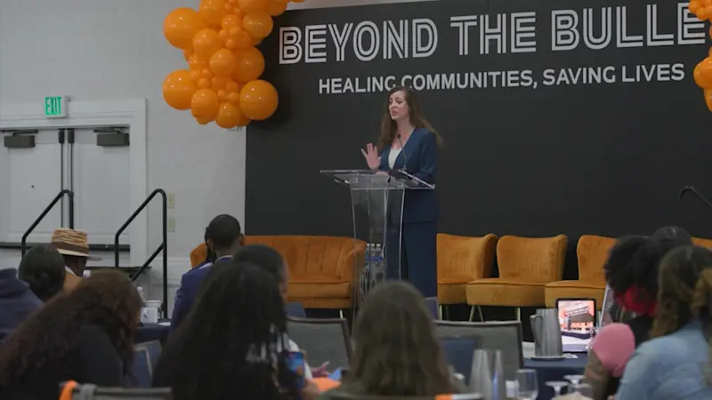 Story image: Turn To Tara gun violence documentary featured at groundbreaking summit in White Plains