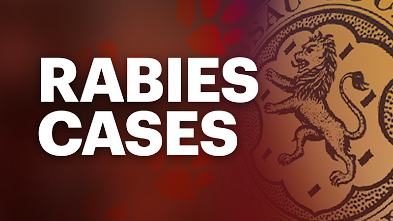 Story image: 2 raccoons test positive for rabies in Hunterdon County