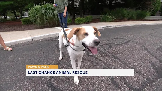 818pawsandpals_2024-08-18-13-26-01
