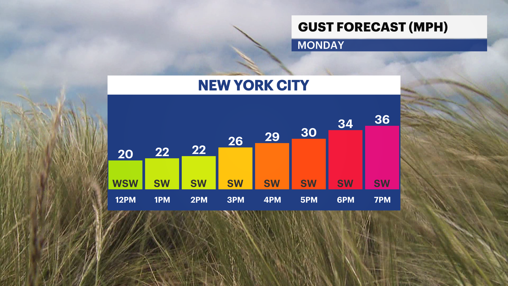 Chilly temps with bright skies and gusty winds for Brooklyn