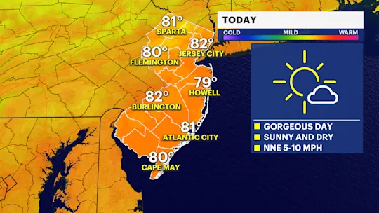 LEANNENJ1 (2)