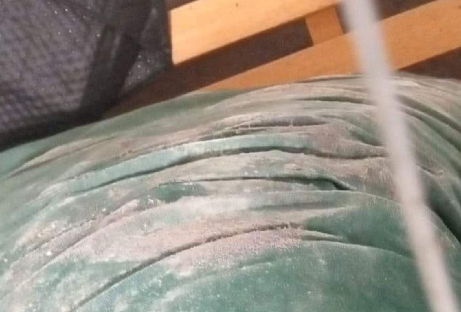 Disabled Monticello mom says housing complex refuses to fix