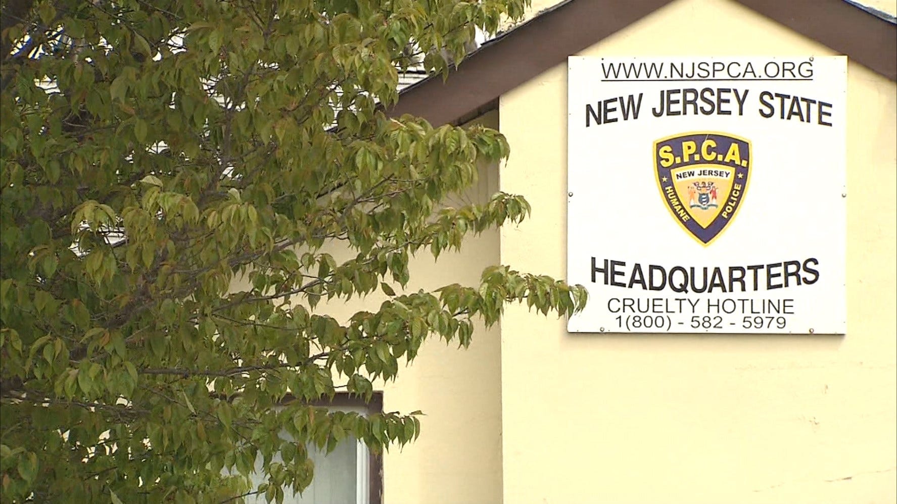 Article 114889 Thumbnail