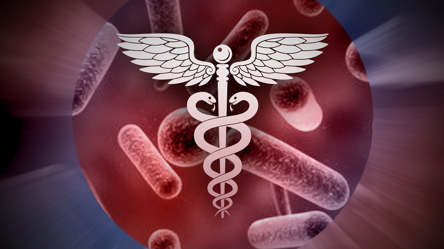 Article 50453 Thumbnail