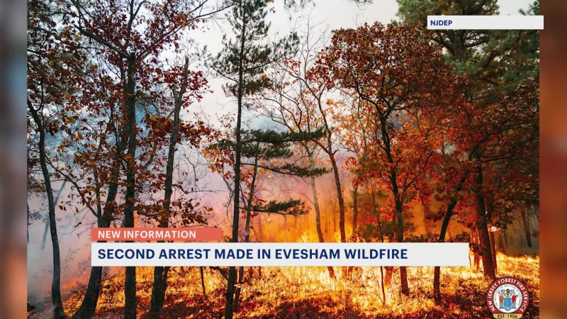 Story image: 2nd juvenile arrested in Evesham forest fire investigation