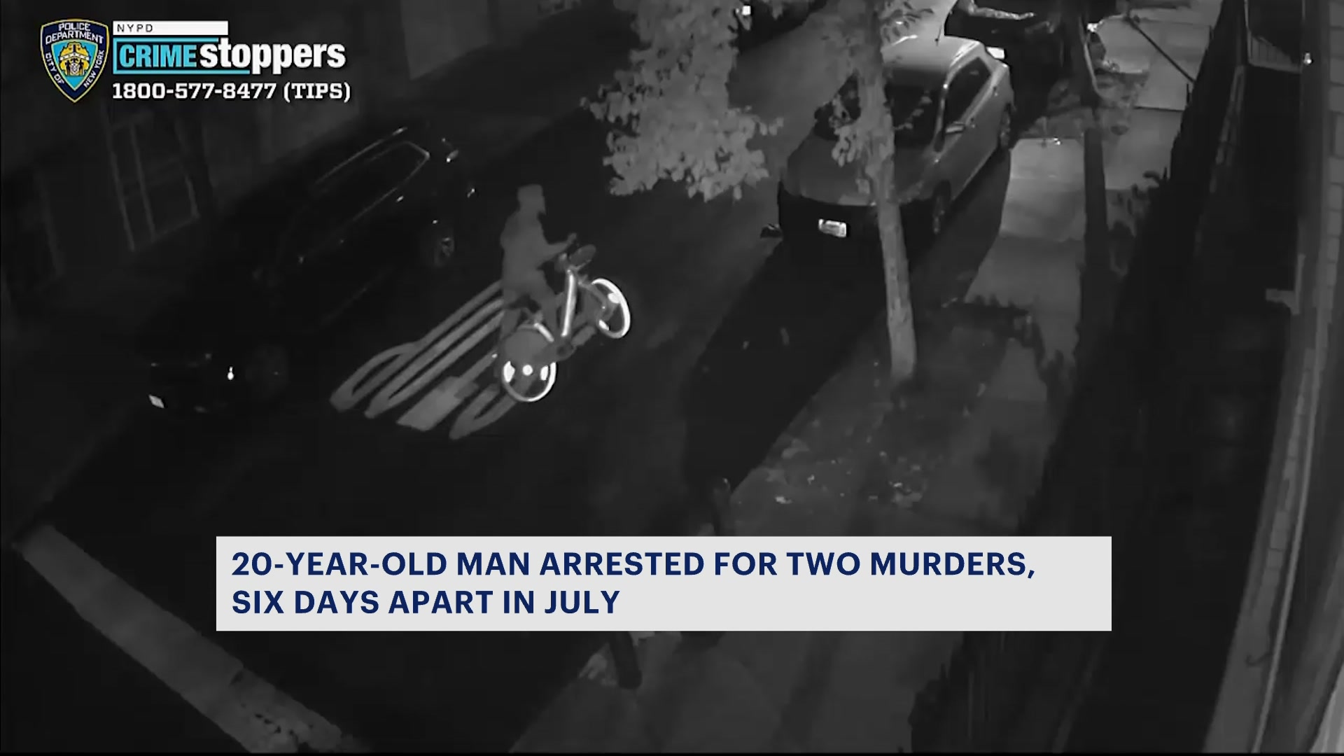 News 12 | New York | Police: 20-year-old man arrested for 2 murders, 6 ...