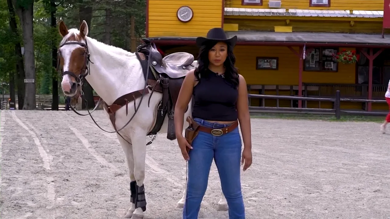 Wild Wild West