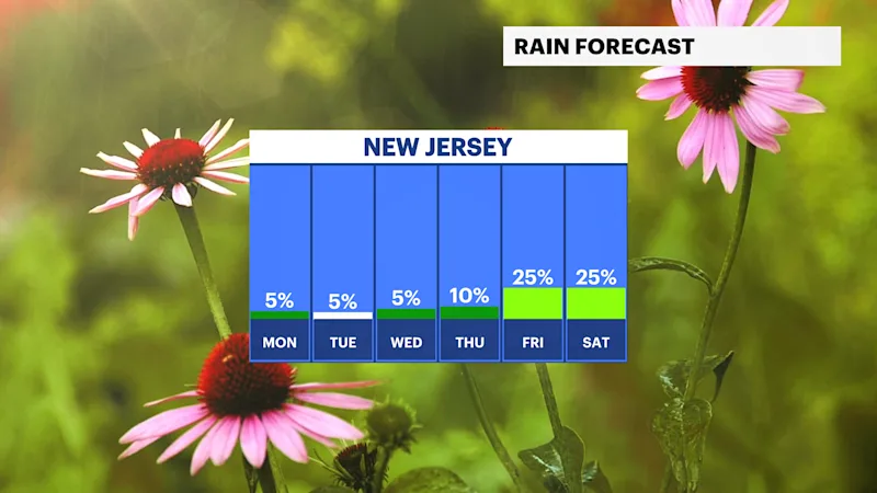 NJ_2.png
