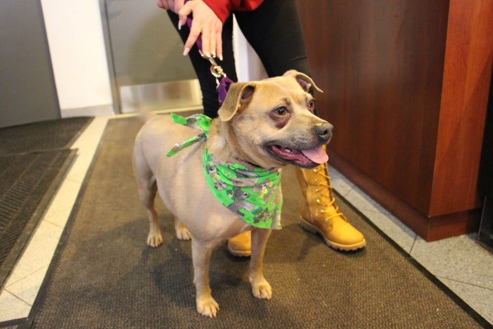 Article 106787 Thumbnail