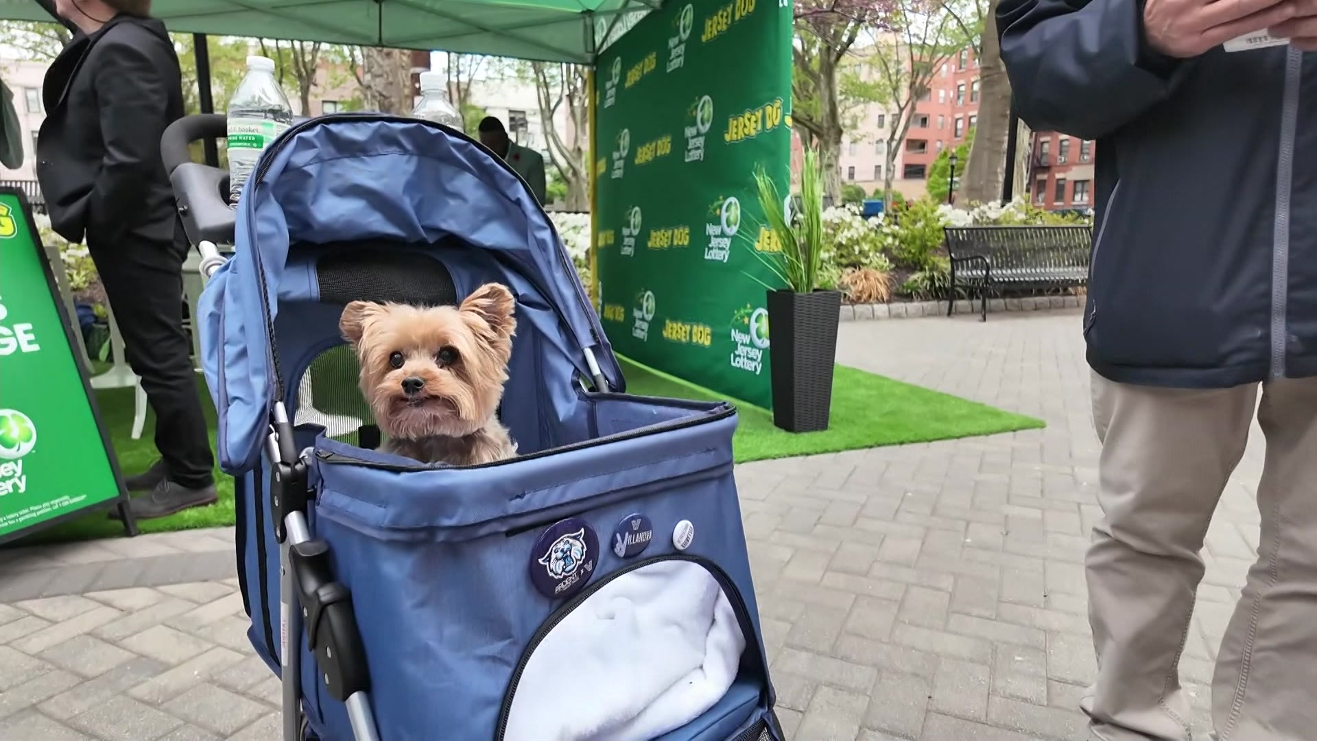 NJTOPDOG04295P_2026-04-29-17-32-15