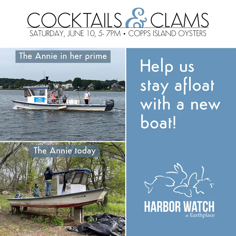 C&C_Help HW Stay Afloat with a New Boat.png