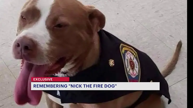 Story image: ‘He was the life of the firehouse.’ City of Newburgh firefighters remember beloved firedog