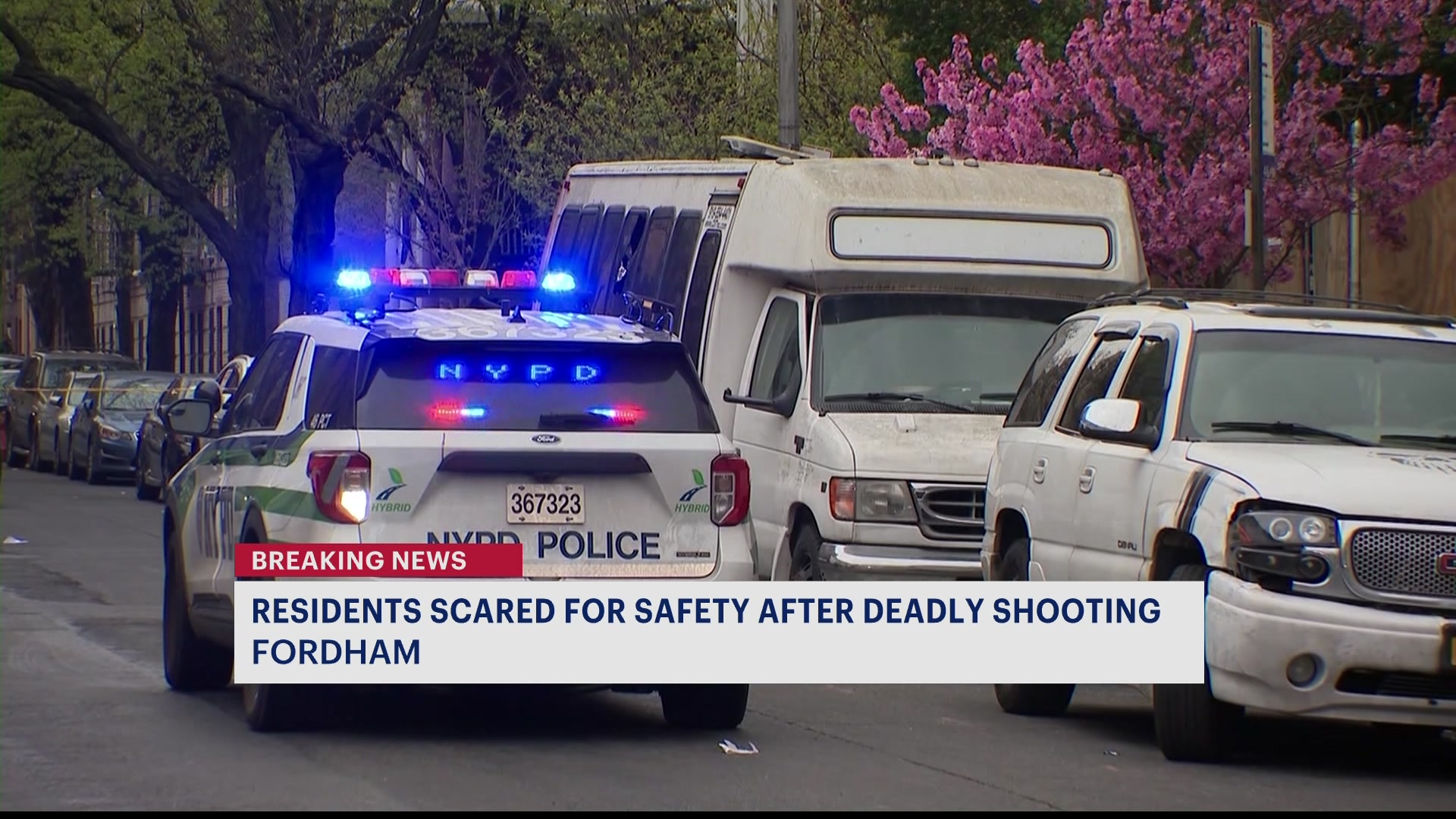 News 12 | Bronx | Nypd Fordham Shooting Kills 34 Year Old Man Leaves ...