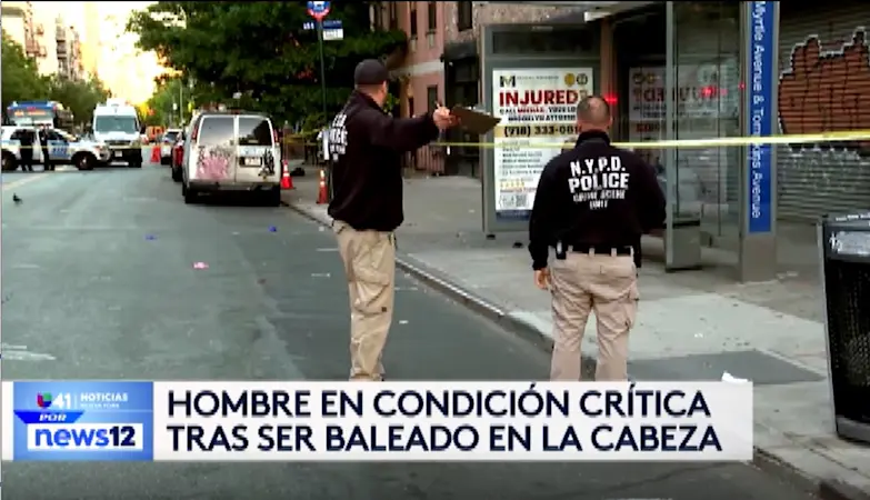 Story image: Univision 41 News Brief: Hombre en condicion critica tras ser baleado en la cabeza