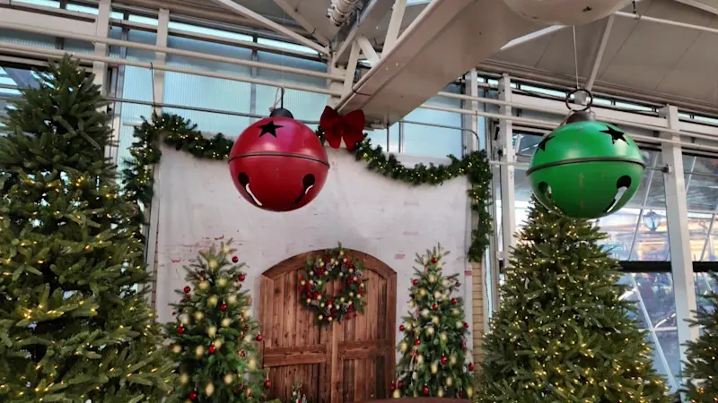 Story image: Hicks Nurseries in Westbury transforms into winter wonderland