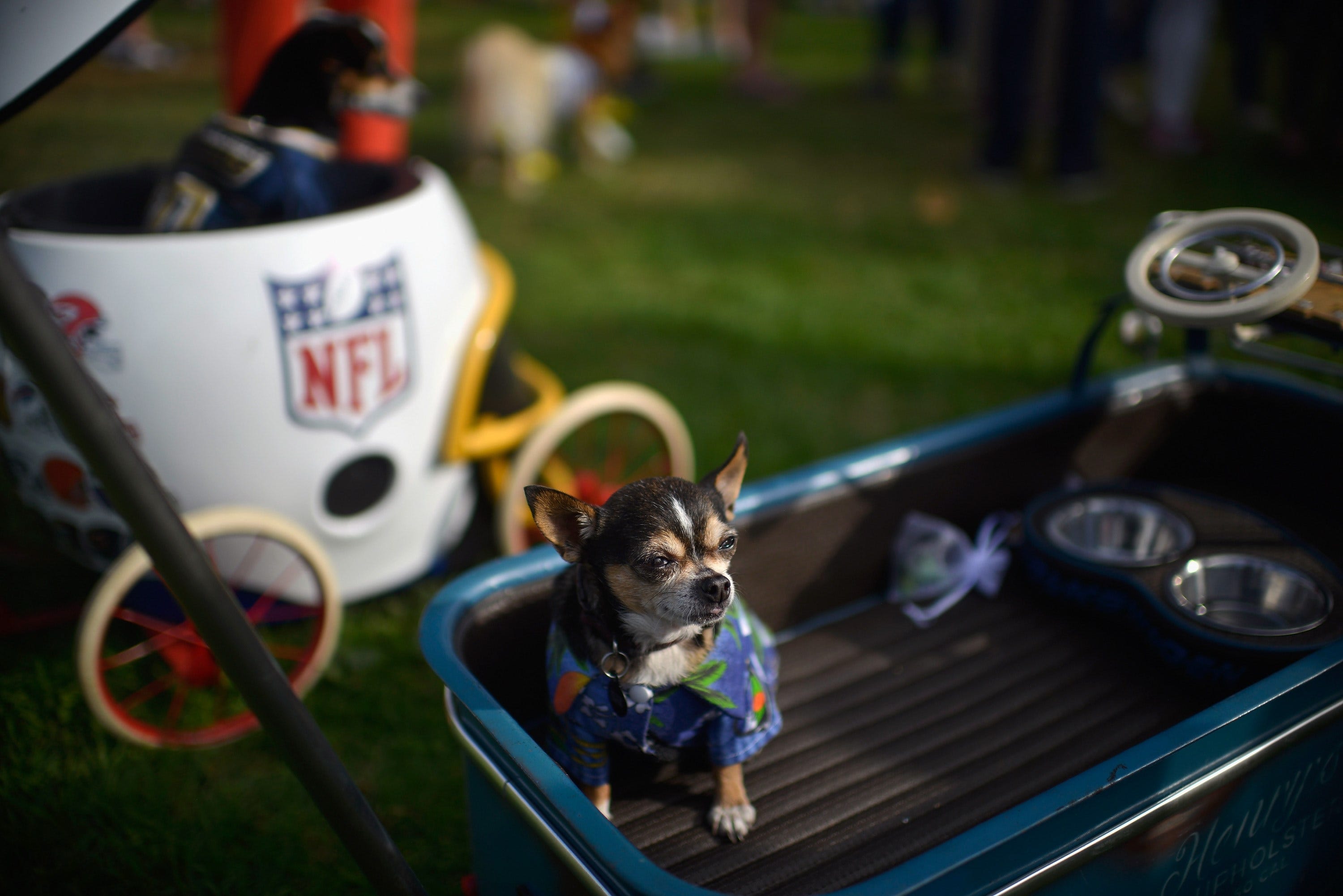 Article 48740 Thumbnail