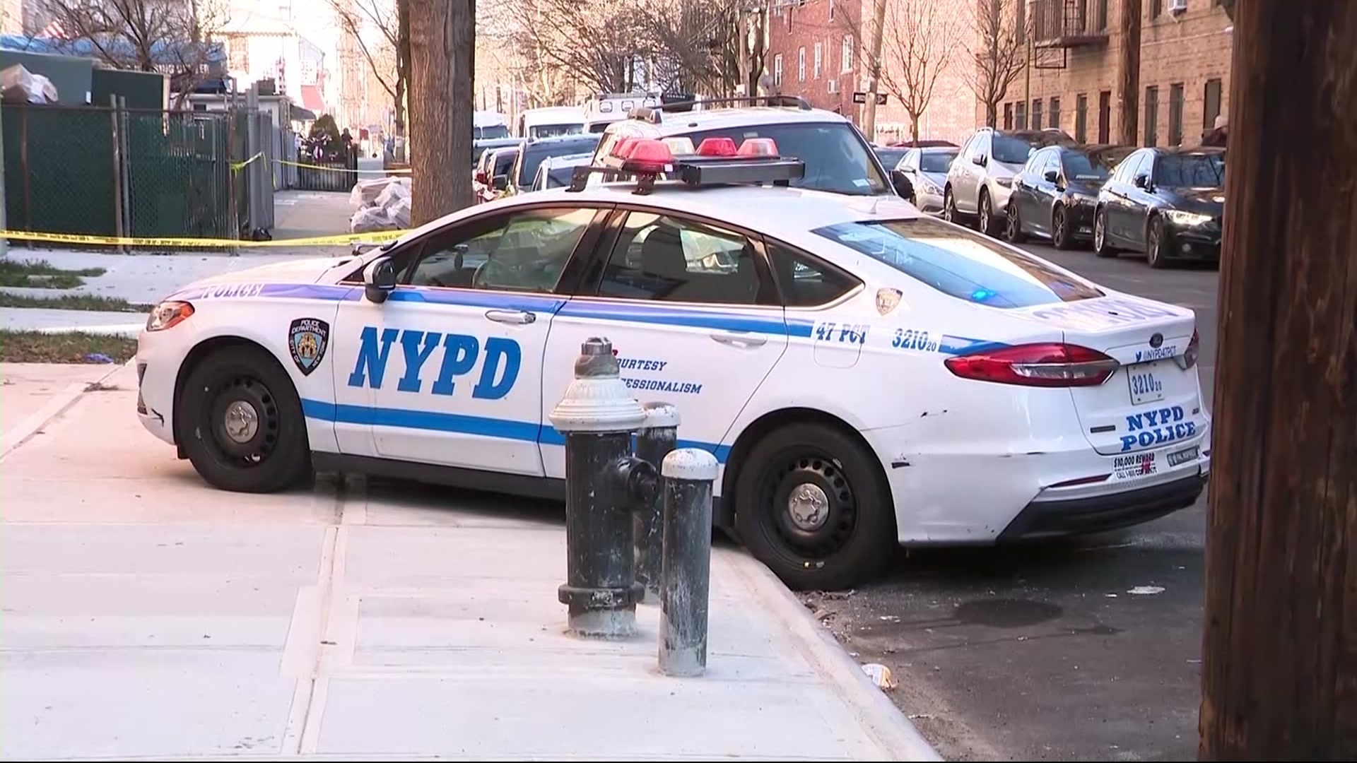 News 12 | Bronx | Nypd 34 Year Old Man Shot To Death In Olinville Building