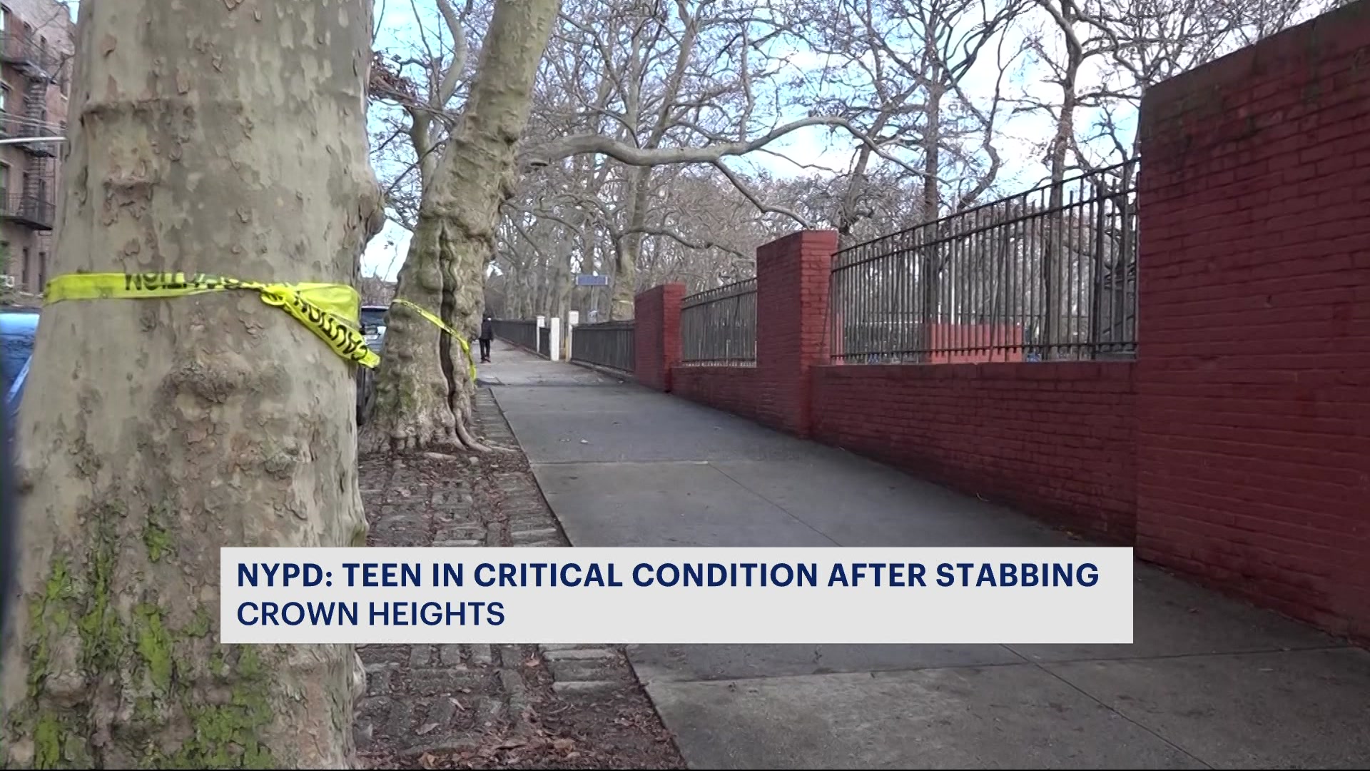 News 12 | Brooklyn | Nypd 16 Year Old Stabbed In Lincoln Terrace Park ...